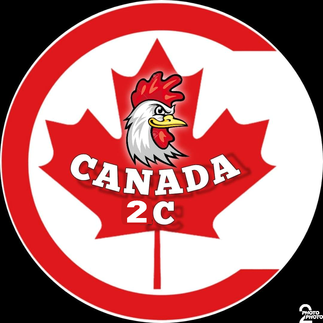 Canada 2C (DNF)