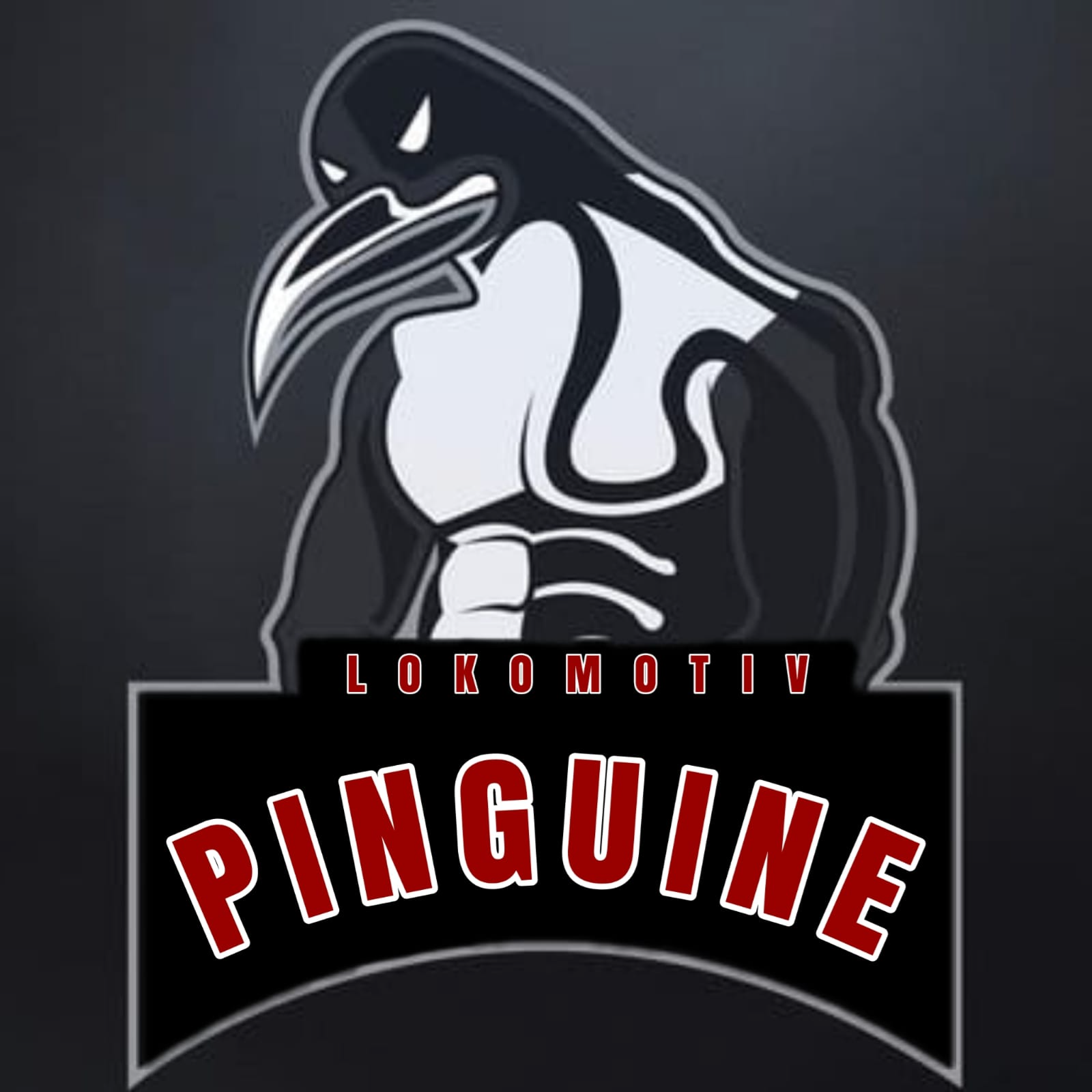 Lokomotiv Pinguine