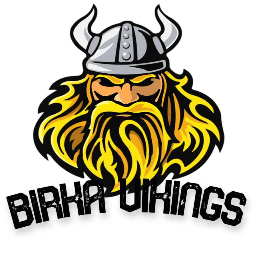 Birka Vikings