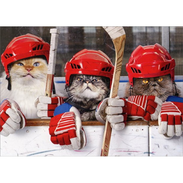 Hockey Kittens