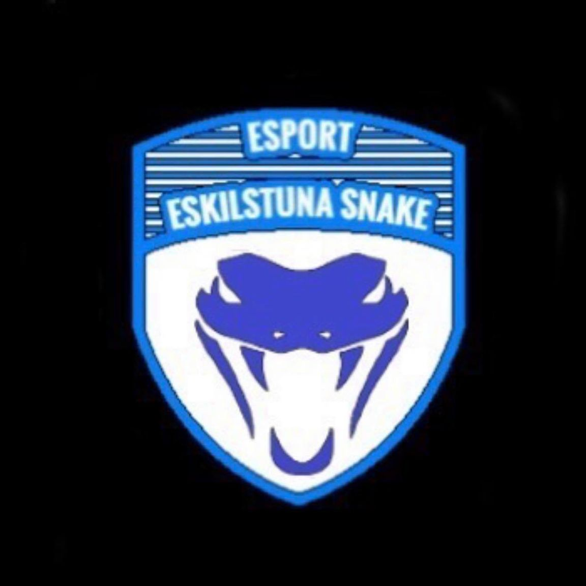 Eskilstuna Snake (DNF)